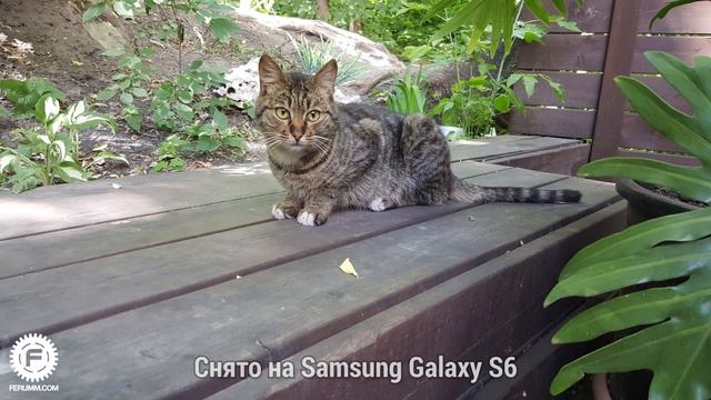 Samsung Galaxy S6 обзор камеры. Подробный обзор камеры Galaxy S6 от FERUMM.COM смотреть онлайн
