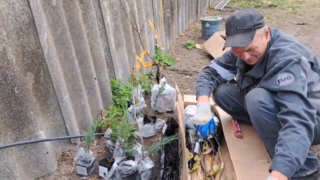 Сажаем деревья,сегодня очень было тепло? смотреть онлайн