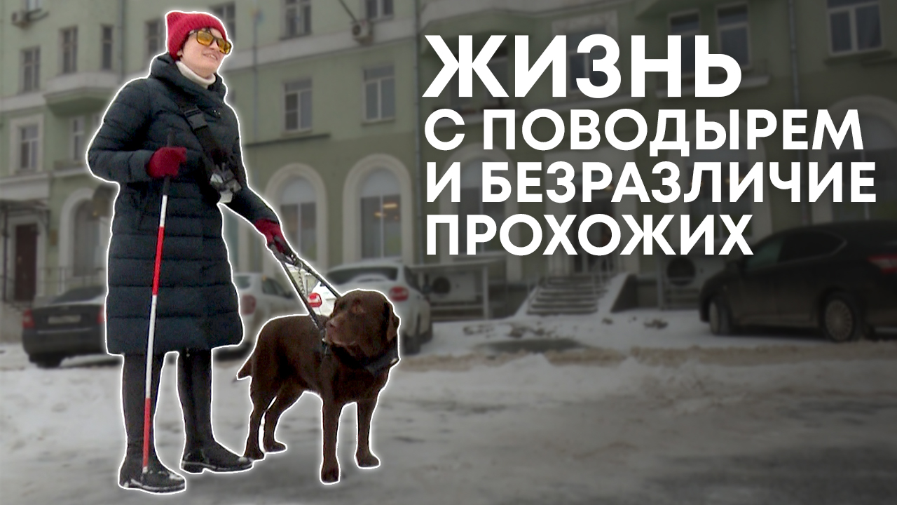 Собака-поводырь. Друг, помощник и спасатель. смотреть онлайн