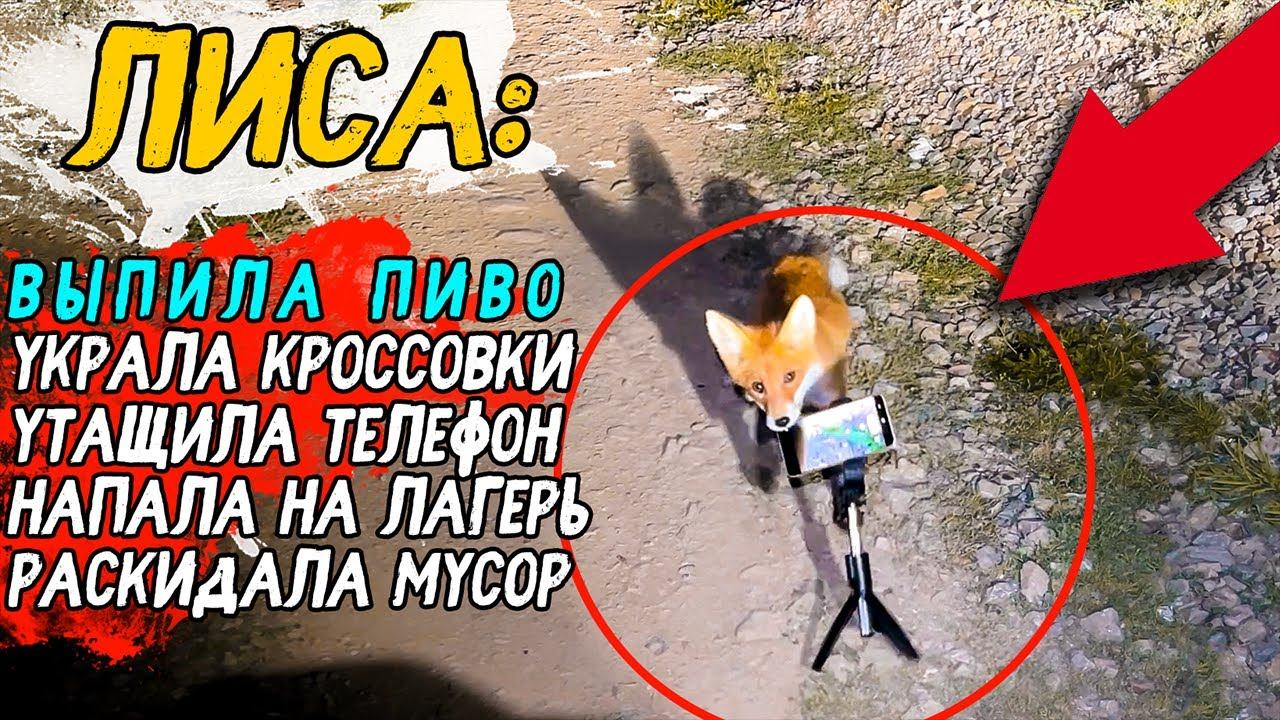 ❗️СОБИРАЙ ВЕЩИ❗️ ТЫ едешь в БАШКИРИЮ Большое Путешествие - Синдром Сметкина смотреть онлайн