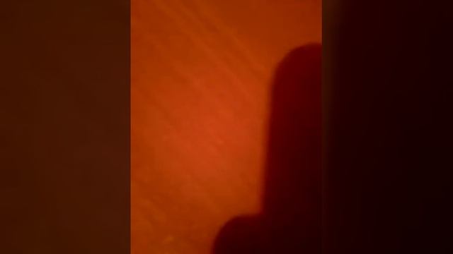 Как сделать камеру наблюдения и фота фота с няшкой котиком мяу мяу смотреть онлайн