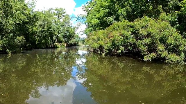 Желтые кувшинки в Днепровских плавнях смотреть онлайн