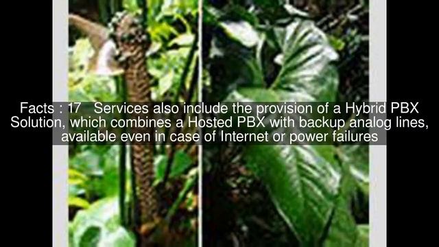 AstraQom Top #31 Facts смотреть онлайн