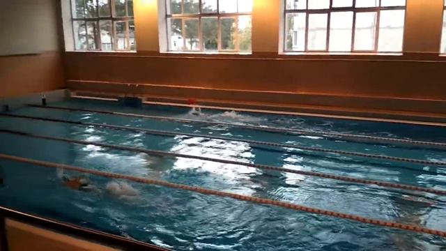 Вольный стиль / 50 м / 2017 смотреть онлайн