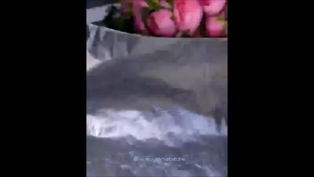Вкусный ужин, запеканка с фаршем смотреть онлайн