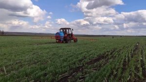 Подкормка озимой пшеницы КАСом 32.МТЗ 82