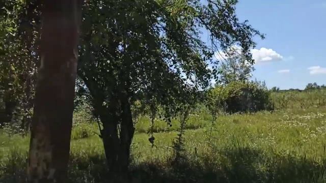 Доступная цена на земельный участок. смотреть онлайн