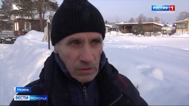 В Мезенском округе охотники перехватили целую стаю волков - сразу восемь особей смотреть онлайн