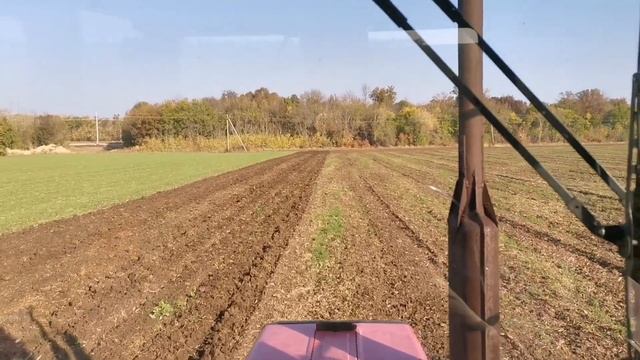 #чизель #мтз #глубокорыхление Рыхлим почву! Мтз 892 + пч - 2.1. смотреть онлайн