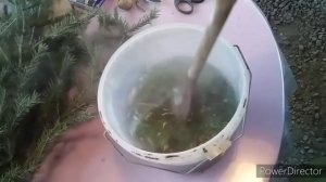 Натуральная Подкормка для Иммунитета и Яйценоскости  Кур Несушек//Витамины для Кур