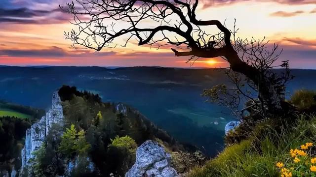 БИБЛИЯ КНИГА ПРЕМУДРОСТИ ИИСУСА СЫНА СИРАХОВА Глава 7. смотреть онлайн