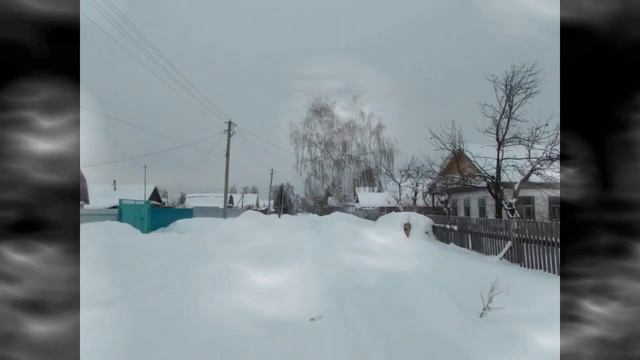 4 Три берёзы у дома смотреть онлайн
