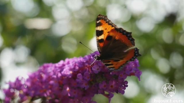 Реклама украшений из эпоксидной смолы смотреть онлайн
