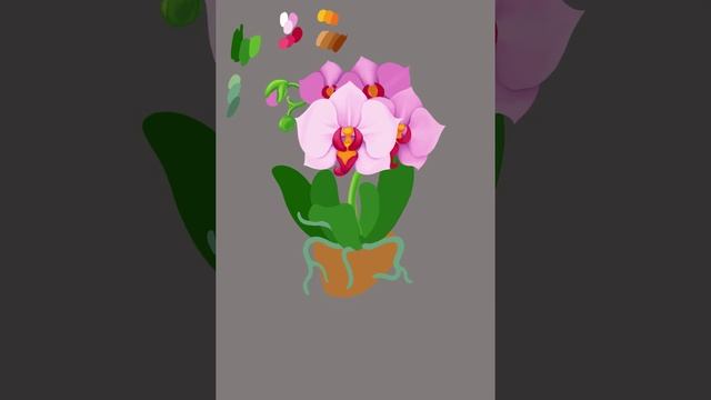 Процесс создания иконки "Орхидея" в Procreate 4 смотреть онлайн
