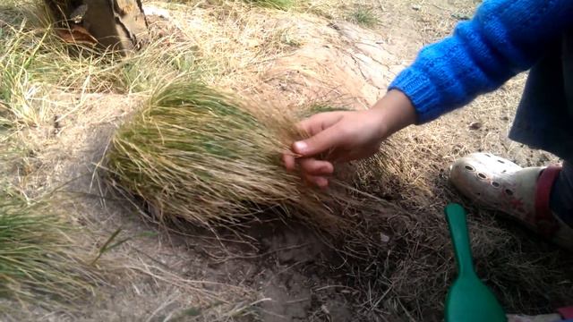 Лена и трава(1) смотреть онлайн