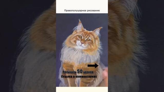 Reels Пушистый кот#shorts смотреть онлайн