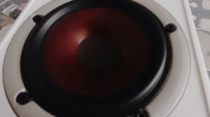 Dali Spektor 2 распаковка и первое впечатление