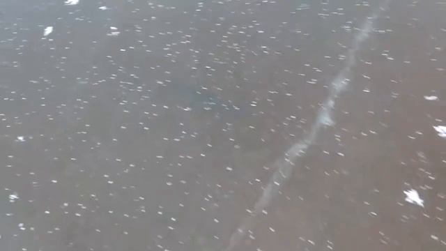 Лещ! Здоровенный ЛЕЩ!!! смотреть онлайн