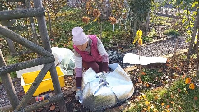 Укриття ВЕЛИКОЛИСНОЇ ГОРТЕНЗІЇ🍀Варіанти#укриттявеликолистноїгортензії#україномовнийютуб#гортензия смотреть онлайн