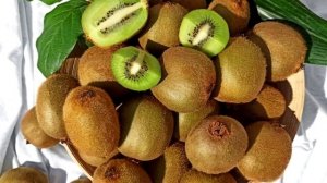 В чем особенность киви перед другими фруктами? Состав и польза фрукта Киви