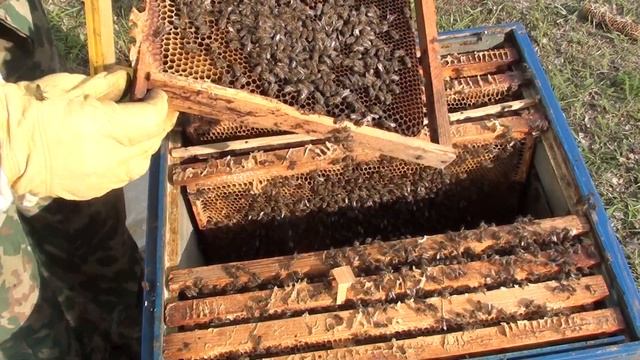 Что такое тихая смена матки. Маточник тихой смены. смотреть онлайн