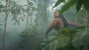 Американские реп 2020