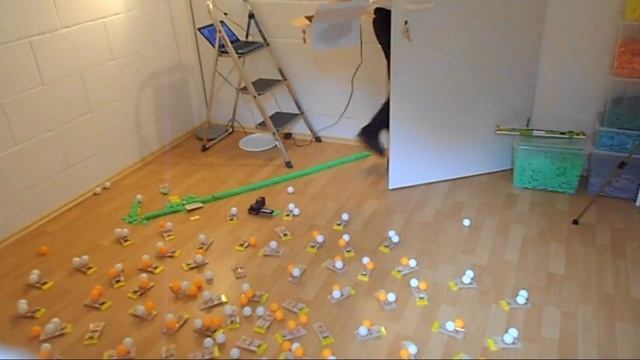 Mousetrap-Mania - 100 Mousetraps, 200 Table Tennis Balls