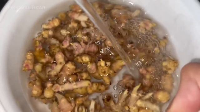 Сам Офигел! Совет Деда Помог! Вся Комната в Феврале Превратилась в Цветущий Сад После Этого! смотреть онлайн