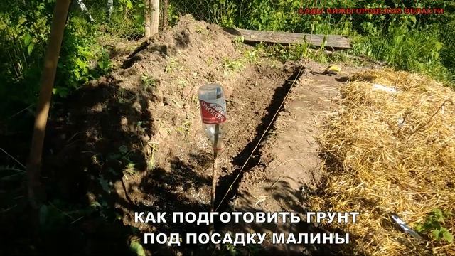 Посадка малины.Почва для малины. смотреть онлайн