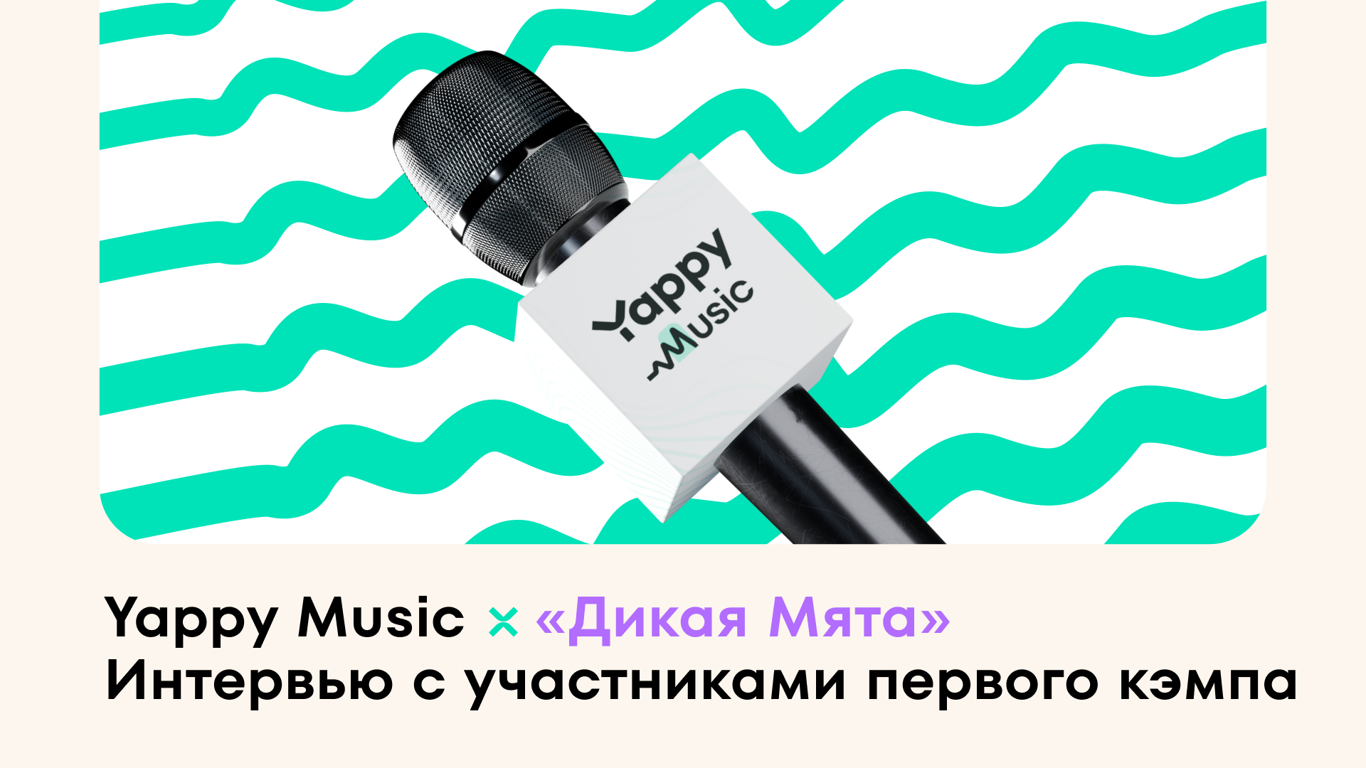Yappy Music и «Дикая Мята». Интервью с участниками первого кэмпа