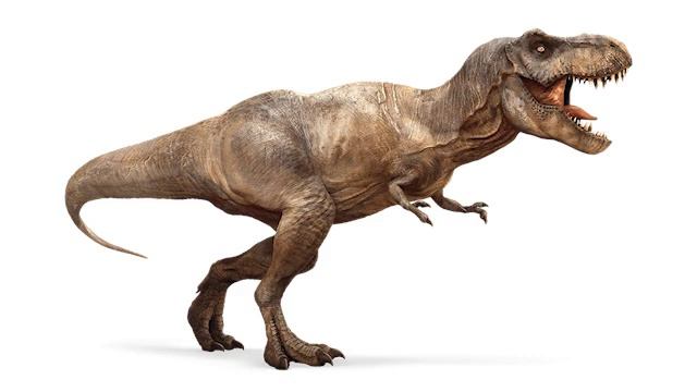 Tyrannosaurus Sounds