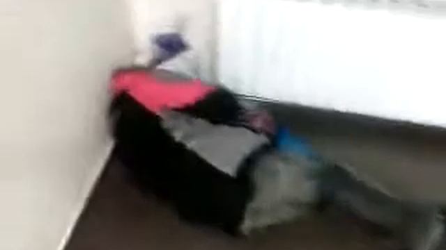 MOV00002 смотреть онлайн