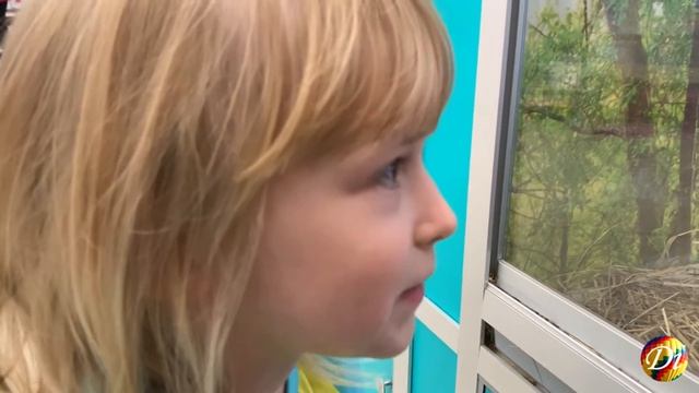 Крошечный декоративный кролик в зоомагазине/Диана просит купить ещё одного кролика смотреть онлайн