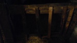 Содержание КАТУМСКИХ ОВЕЦ без выгула