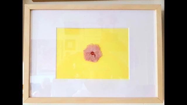 Kevin Swierkosz-Lenart: "Lullaby for Dada" Chitarra Battente: Marcello De Carolis смотреть онлайн