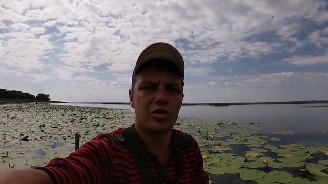 ЛОВЛЯ КАРАСЯ В КУВШИНКАХ.РЫБАЛКА НА КАРАСЯ ЛЕТОМ.КАРАСЬ НА ПОПЛАВОК.КАРАСЬ В КУВШИНКАХ.КАМЫШ ШУМИТ смотреть онлайн