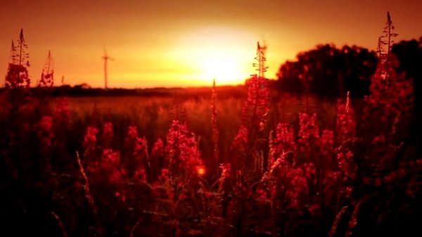 О сын Адама! Oh Son Of Adam!