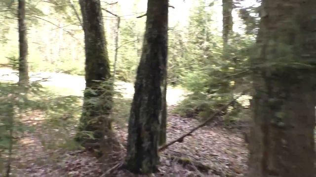 Бердовка. 142 РП. Боевая позиция 2- дивизиона 142-го РП РВСН. Часть 1 смотреть онлайн