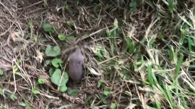 The Git Up Challenge смотреть онлайн