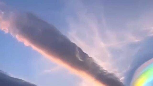 Uno en un billón de momentos en la naturaleza смотреть онлайн