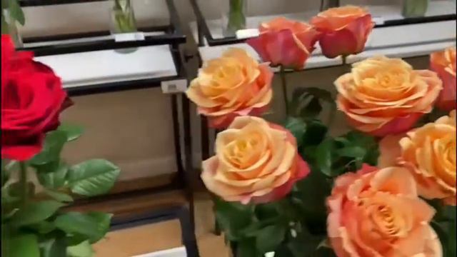 Nirp at Fresco Flowers Quality Centre - July 2021 смотреть онлайн