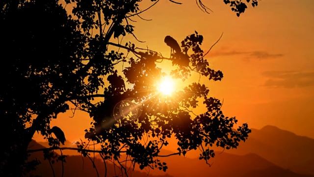 Красный закат. Заход солнца смотреть онлайн