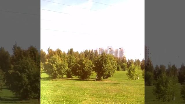 Митинский ландшафтный парк смотреть онлайн