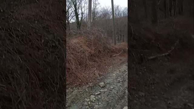 8 cоток, СНТ "Крокус" смотреть онлайн