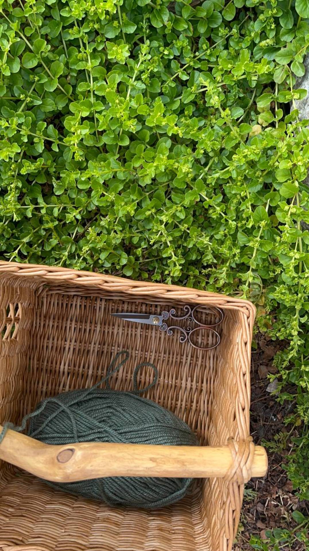 вяжу на даче) смотреть онлайн