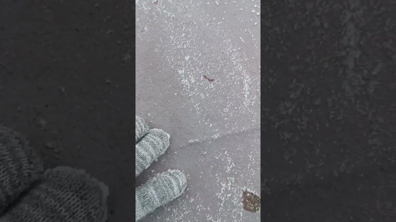 Жидкая кровля отзывы | АДГЕZИКА после 5 лет или чем лучше залить крышу гаража от протекания смотреть онлайн