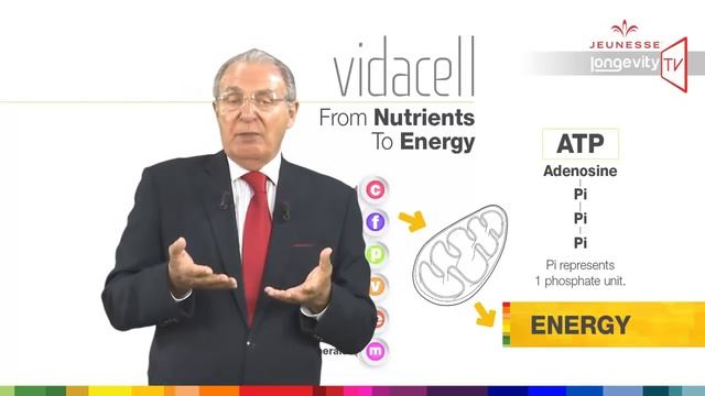 Jeunesse с доктором Амзаллаг Эпизод 13 часть 1 – VIDACELL Видасэлл смотреть онлайн