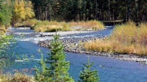 Мы с душой вдвоем оздоравливаем почки  Для женщин Настрои Сытина ГН.
