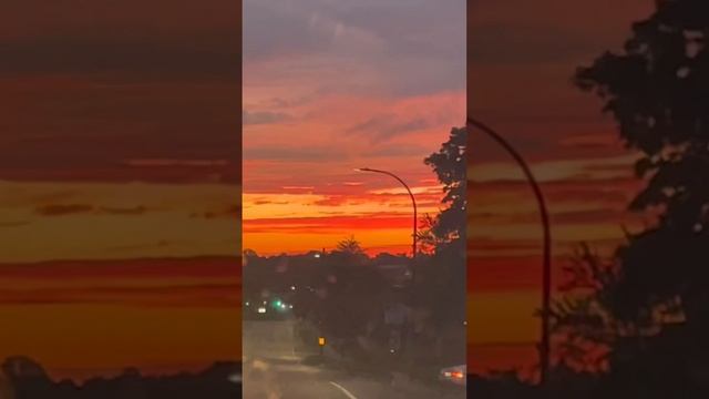 Red Sky Apocalypse 2022 Revelations Blade Runner Edition смотреть онлайн