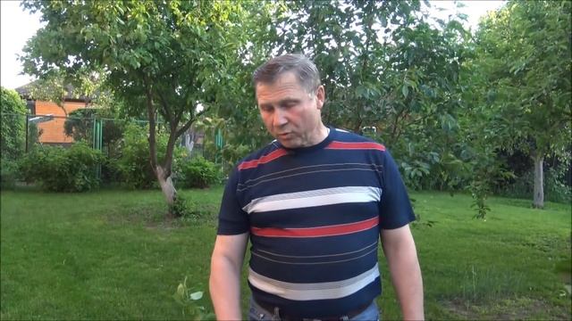 КРУТАЯ ТЕХНИКА для САДА/Аккумуляторная ГАЗОНОКОСИЛКА GREENWORKS и садовый ИЗМЕЛЬЧИТЕЛЬ LUXE смотреть онлайн